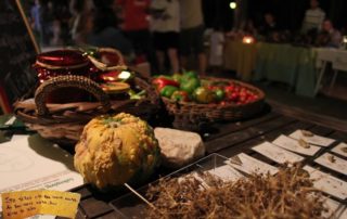 Ecological Agriculture and Handicrafts Festival