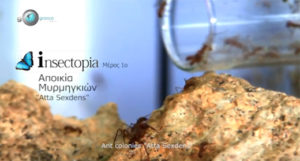 Thessaloniki Insectopia Museum