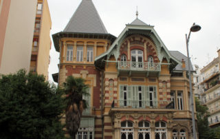 Mehmet Kapantzi - Organism of Regulatory Plan