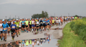 View from the participants