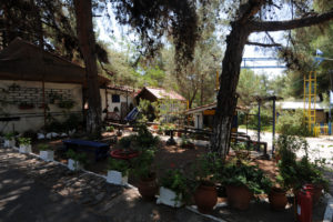 The area in front of the mini market and the reception in the background